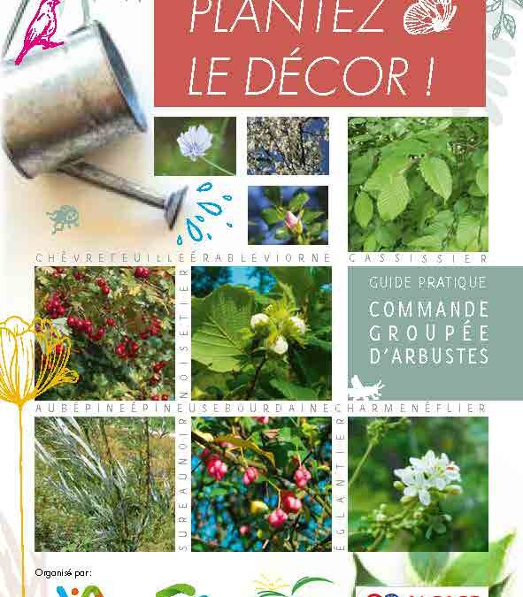 Plantez le décor ! Mettez de la couleur et de la vie dans vos haies avec des arbustes variés et adaptés à notre région !