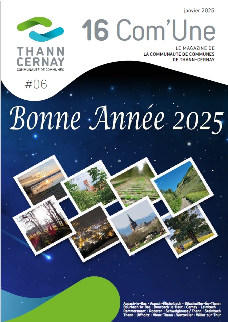 communauté de communes Thann Cernay rapport_annuel_activités_2020