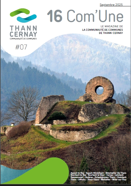communauté de communes Thann Cernay rapport_annuel_activités_2020