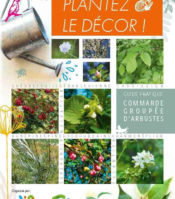 Plantez le décor 2025 ! Mettez de la couleur dans vos haies !