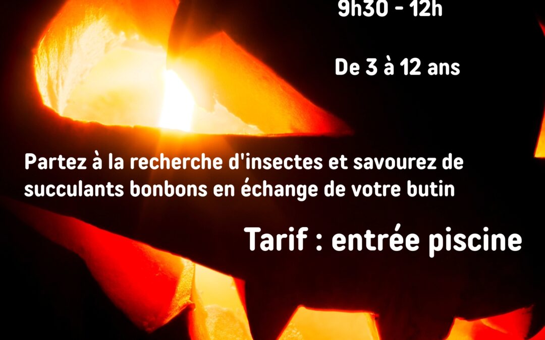HALLOWEEN S&rsquo;INVITE À LA PISCINE !